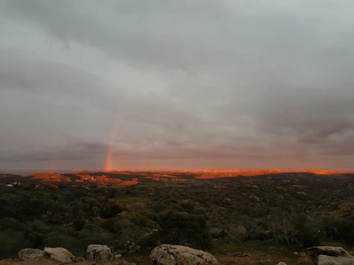 B&B Bell'Alba Santa Teresa Gallura Exterior photo